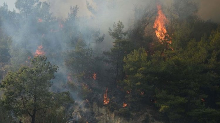 meteoroloji-orman-yanginlarina-karsi-uyardi