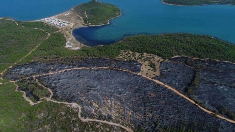 bakan-eroglu-ndan-ayvalik-taki-yangin-icin-aciklama