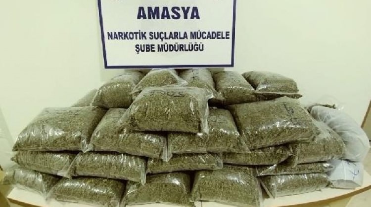 Amasya’da 21 kilo bonzai ele geçirildi, 2 gözaltı