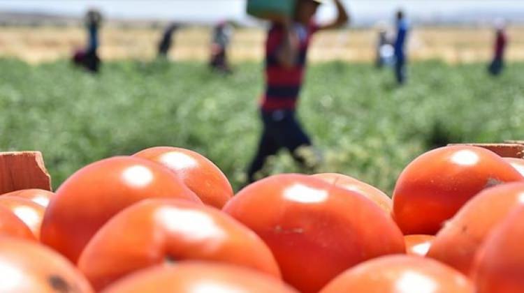 Rusya'dan açıklama! İzin verebiliriz