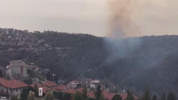 Sarıyer'de orman yangın