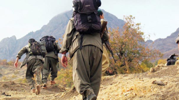 Lice'deki vahşeti terör örgütü PKK üstlendi