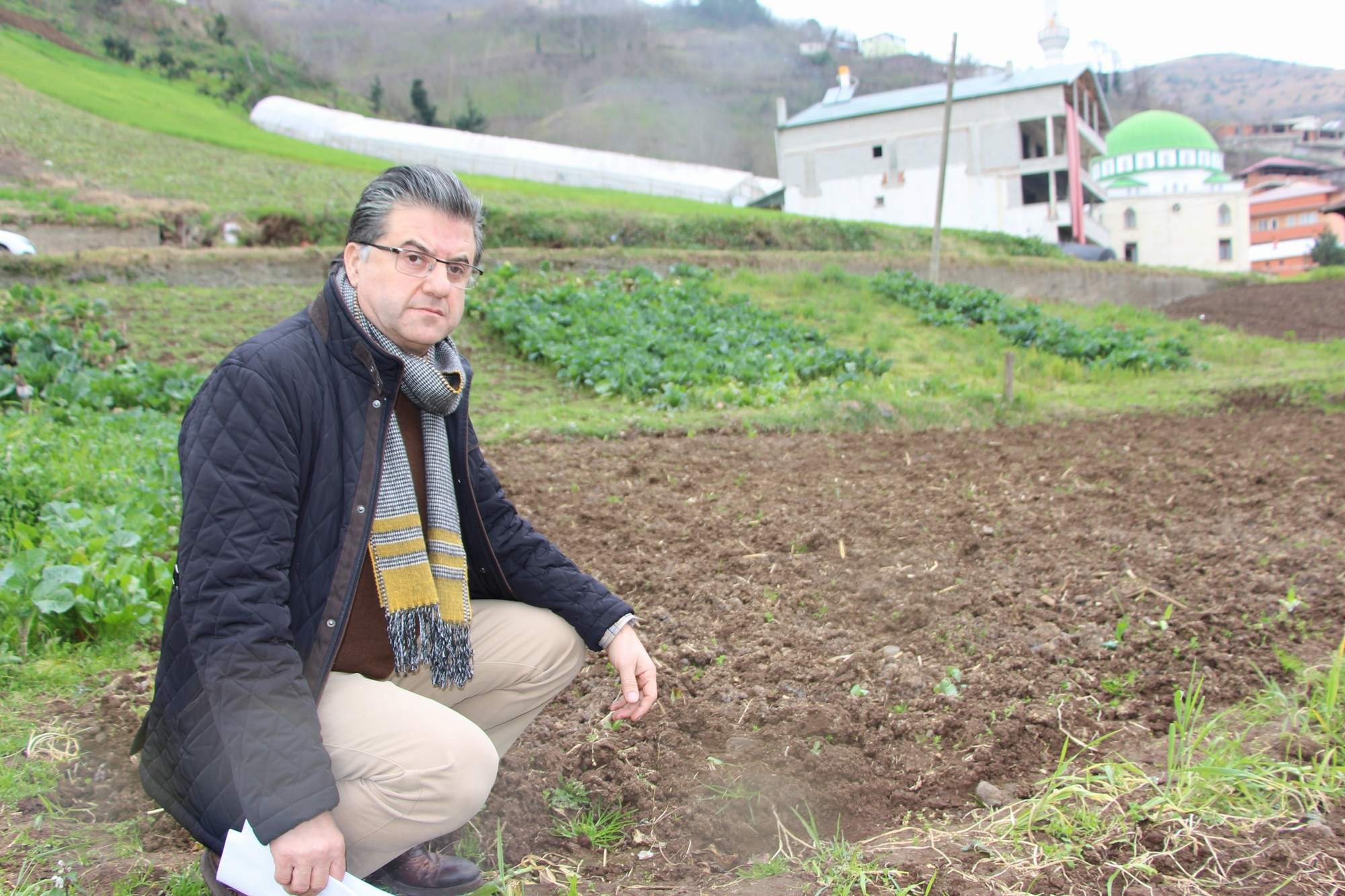 DÜNYADA PATATES ÜRETİMİ YAPAN ÜLKELERDE "PATATES SİĞİLİ HASTALIĞI" GÖRÜLÜYOR TARIM VE ORMAN BAKANLIĞININ 25 İLDE PATATES EKİMİ YAPILMAMASI YÖNÜNDEKİ KARARI TRABZON'DA YAKLAŞIK 40 DEKAR ALANDA UYGULANIYOR TRABZON ZİRAAT MÜHENDİSLERİ ODASI BAŞKAN YARDIMCISI AVNİ AYDIN: "DÜNYADA PATATES ÜRETİMİ YAPILAN  TÜM ÜLKELERDE SÖZ KONUSU HASTALIK MEVCUT. BUNLARIN MÜCADELESİ BİZİM ÜLKEMİZDE OLDUĞU GİBİ KARANTİNA TEDBİRLERİYLE YAPILMAKTADIR" "DÜNYADA BU BAHSEDİLEN HASTALIKLARIN TEMEL KORUNMA YOLU KARANTİNA TEDBİRİDİR"