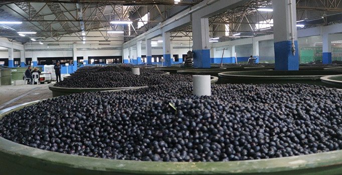 Marmarabirlik'ten akıllı gübre ve ilaç desteği