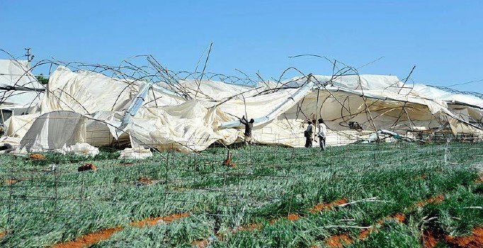 TARSİM'den 5 milyar liralık hasar tazminatı