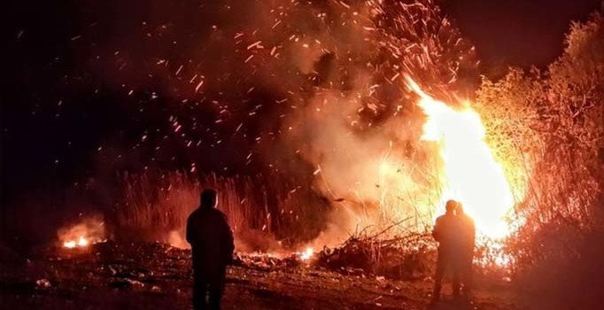 İznik Gölü kıyısında sazlık alanda korkutan yangın