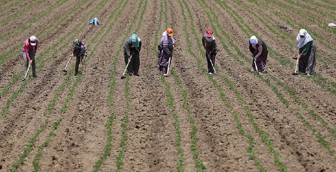 Tarıma dayalı yatırım projelerinde süre uzatıldı