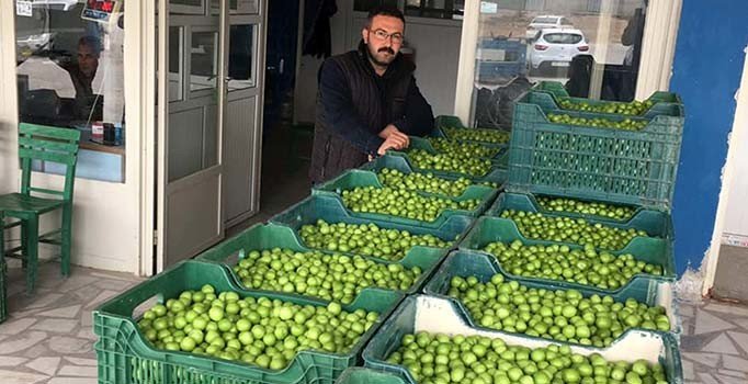 Erik altın yılını yaşıyor