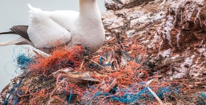 Plastik kirliliği için ‘Dünyanın en uzun canlı yayını’