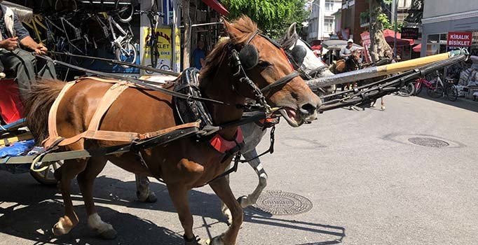 Adalar’da 30 derecede faytona koşturulan atlar yürekleri sızlatıyor