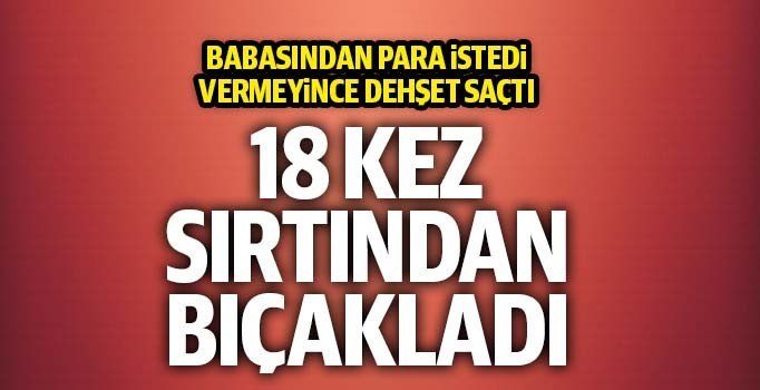 Almanya’da Türk genci, istediği parayı vermeyen babasını bıçaklayarak öldürdü