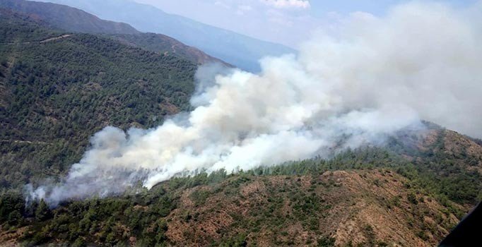 Marmaris'te orman yangını