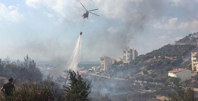 İzmir'de zeytinlik alanda yangın