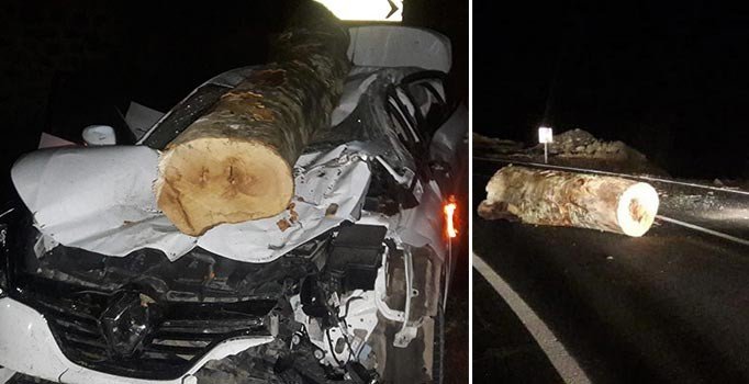 Ordu'da otomobilin üzerine tomruk düştü: 3 yaralı