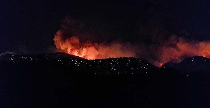 Dalaman'da orman yangını