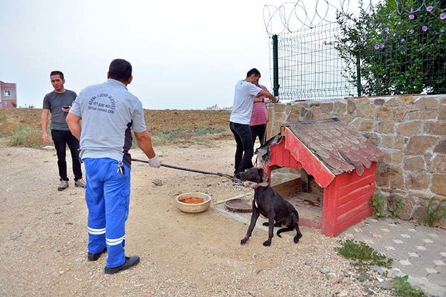 19-07/31/cete-liderinin-pitbull-cinsi-kopeklerle-korudugu-villaya-polis-baskini_8378_dhaphoto7.jpg