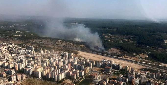 İzmir'de saman yüklü kamyon devrildi, ormanda yangın çıktı