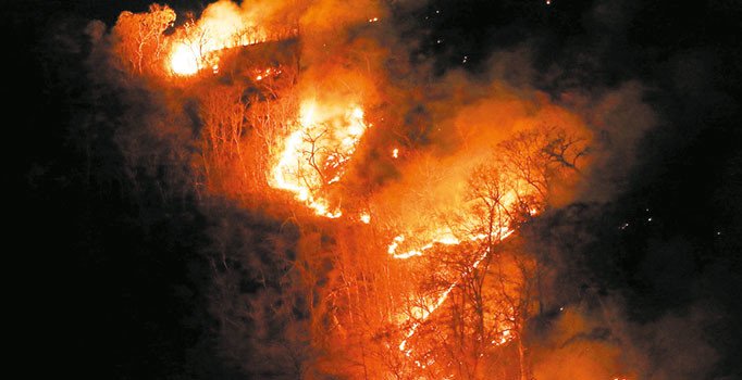 Sadece Amazonlar değil tüm dünya yanıyor