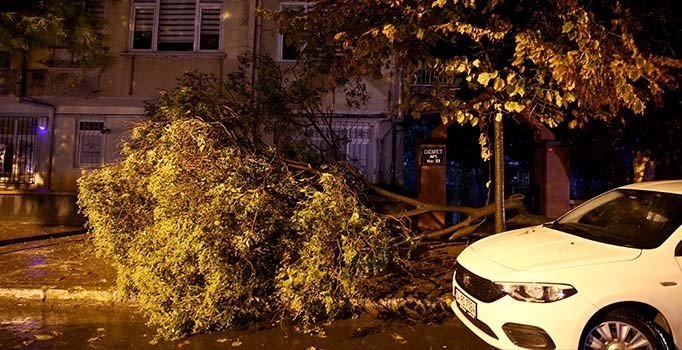 Fırtına İstanbul'u vurdu... Çatı uçtu, ağaçlar devrildi