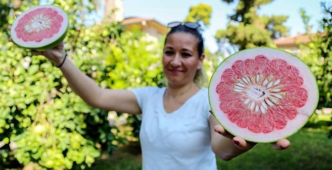 C vitamini deposu 'pomelo'