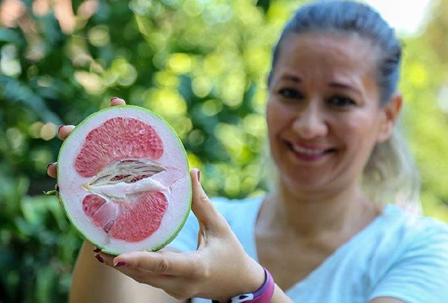 19-10/08/turuncgillerin-atasi-pomelo-sadece-antalyada-yetisiyor_7277_dhaphoto2.jpg