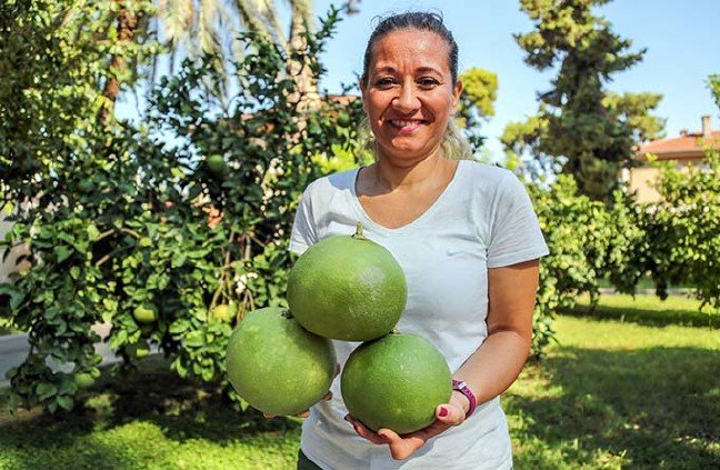 19-10/08/turuncgillerin-atasi-pomelo-sadece-antalyada-yetisiyor_7277_dhaphoto4.jpg